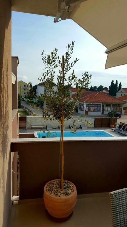 Antonija Apartments With Pool Biograd Na Moru Esterno foto